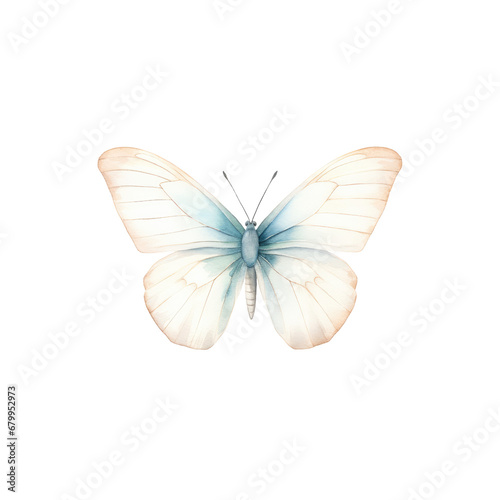 watercolor butterfly cliparts, isolated © Jo