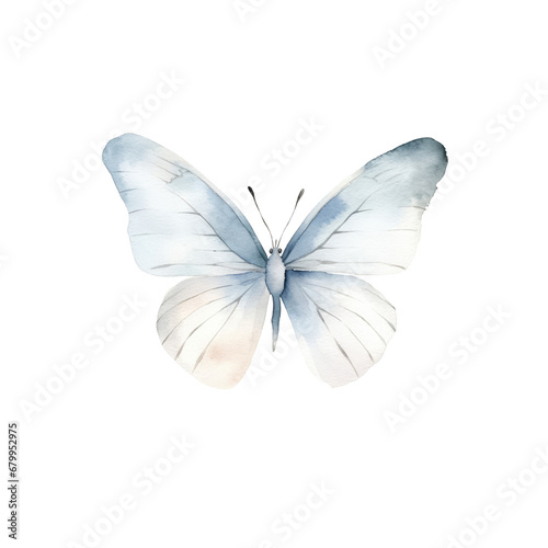 watercolor butterfly cliparts, isolated © Jo