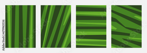 set of watermelon skin pattern striped abstract background. vertical. flat vector illustration.