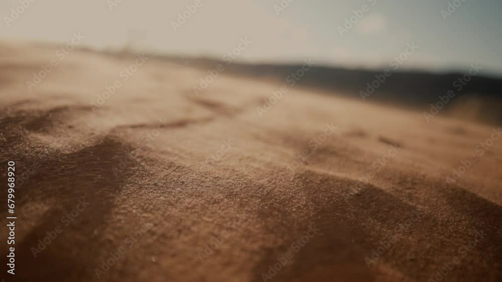 Grains of sand blowing in the desert wind during sunset