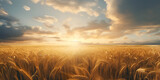 Rural Serenity Vibrant Harvest in the Heartland,, Autumn's Bounty Idyllic Wheat Landscape Under Blue Skies Generative Ai