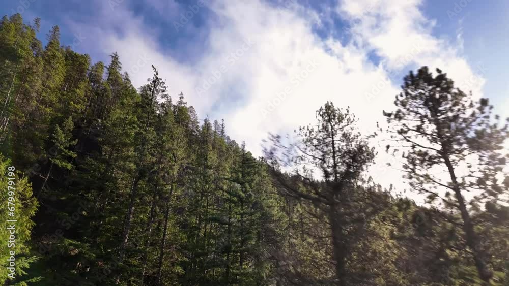 Green Trees on the Mountain, Canadian Nature Landscape Background. Squamish, British Columbia, Canada. Slow Motion Cinematic. High quality 4k footage. Green Trees on the Mountain, Canadian Nature Landscape Background. Squamish, British Columbia, Canada. Slow Motion Cinematic. High quality 4k footage.