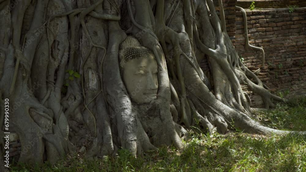 Cinematic gimbal shot of Buddha head at Wat Maha That, a historic Buddhist temple in ancient city of Ayutthaya in Thailand