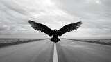 草原の中、地平線までまっすぐ伸びる道に大きな鷹が飛んでいるアップのモノクロ写真