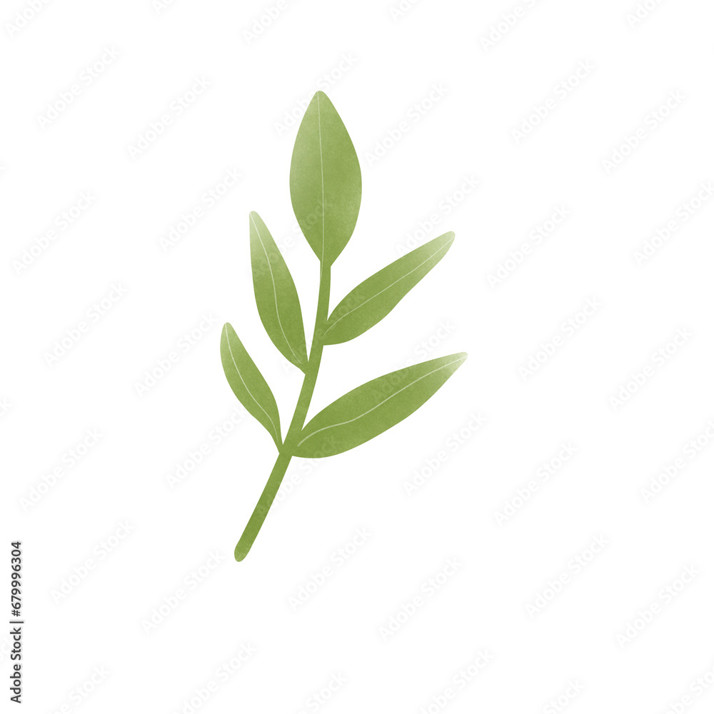 leaf leaf