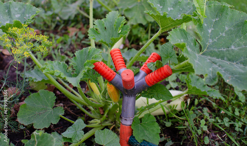 water sprayer. automatic irrigation system for vegetable gardens and lawns.