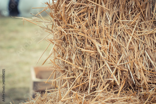 Bales of hay or straw. Background or wallpaper texture photo
