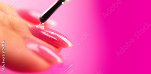 Applying Nail polish, pink shellac UV gel, varnish, manicure process concept in beauty salon. Transparent top coat drop on brush. Over pink background. Application of nail polish