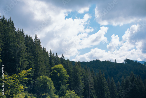 Carpathian mountain forest at early morning sunrise. Beautiful nature landcape.