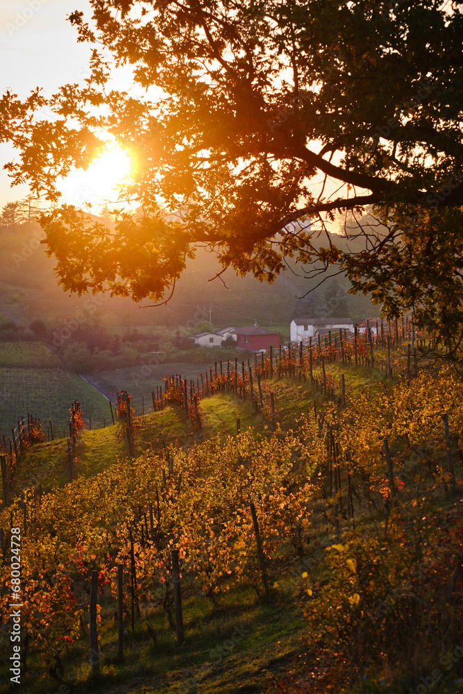 Fototapeta premium Foto scattata al tramonto nelle colline attorno a Tassarolo durante il periodo autunnale.