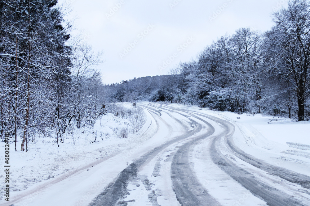 Fototapeta premium 雪の中の静かさ Silence in the snow