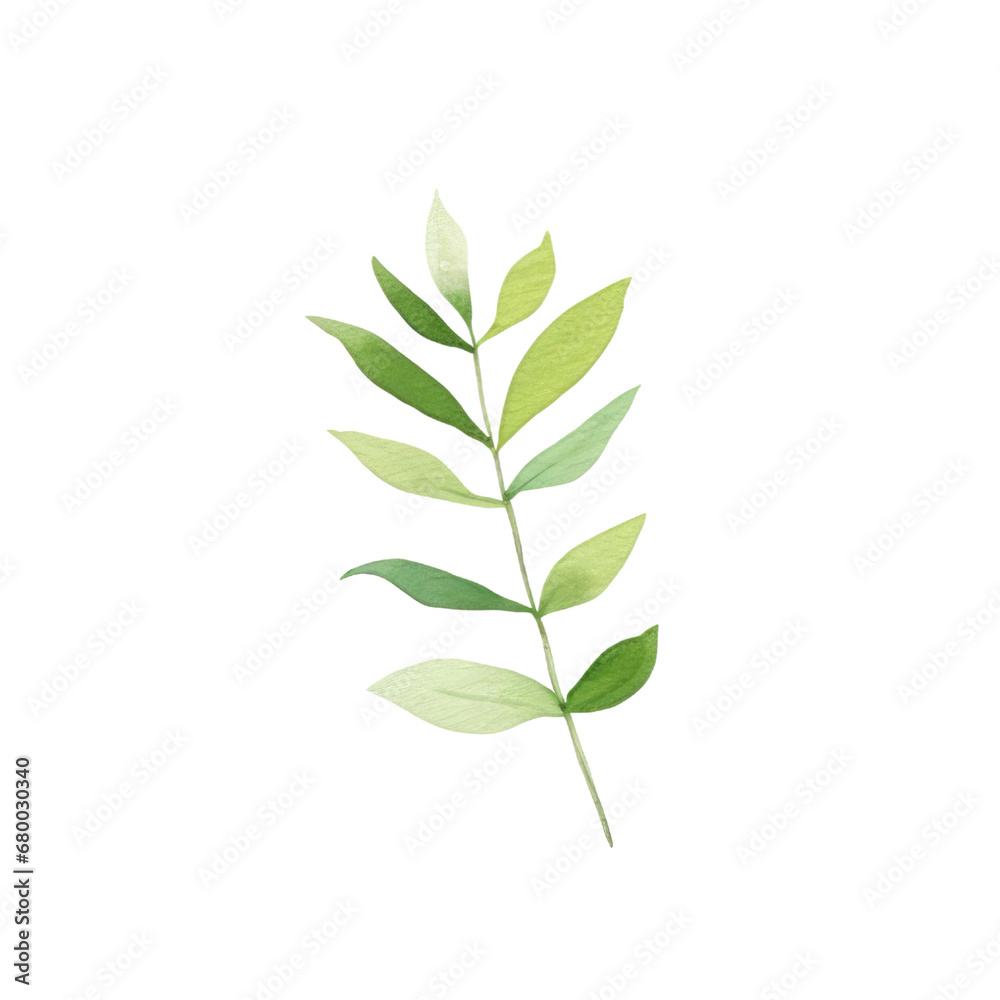 Fototapeta premium Hand drawn watercolor leaf tropical herb illustration for wedding invitation card, frame and wreath greenery branch transparent background PNG 300DPI