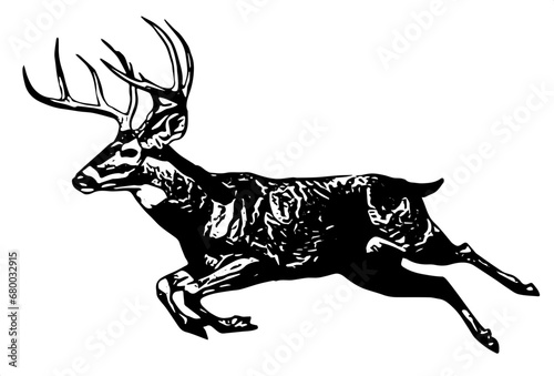 silhouette of a deer vector illustration