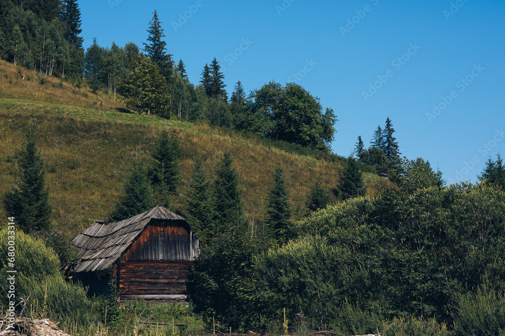 Ukraine Carpathians mountain forest river sun clouds beauty