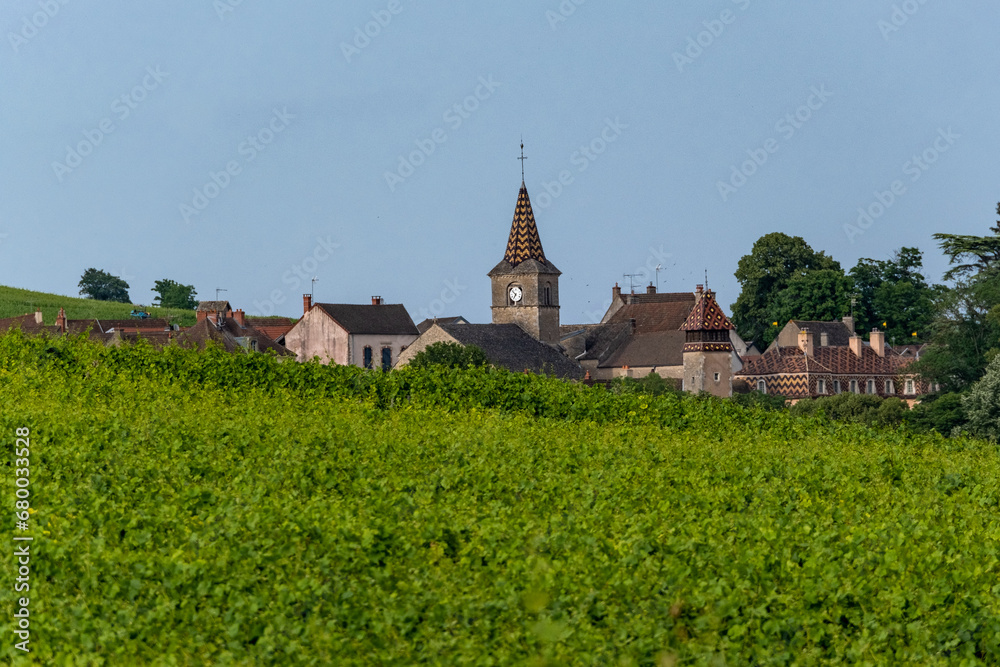 Vue du Monthelie et son vignoble, en Bourgogne, France