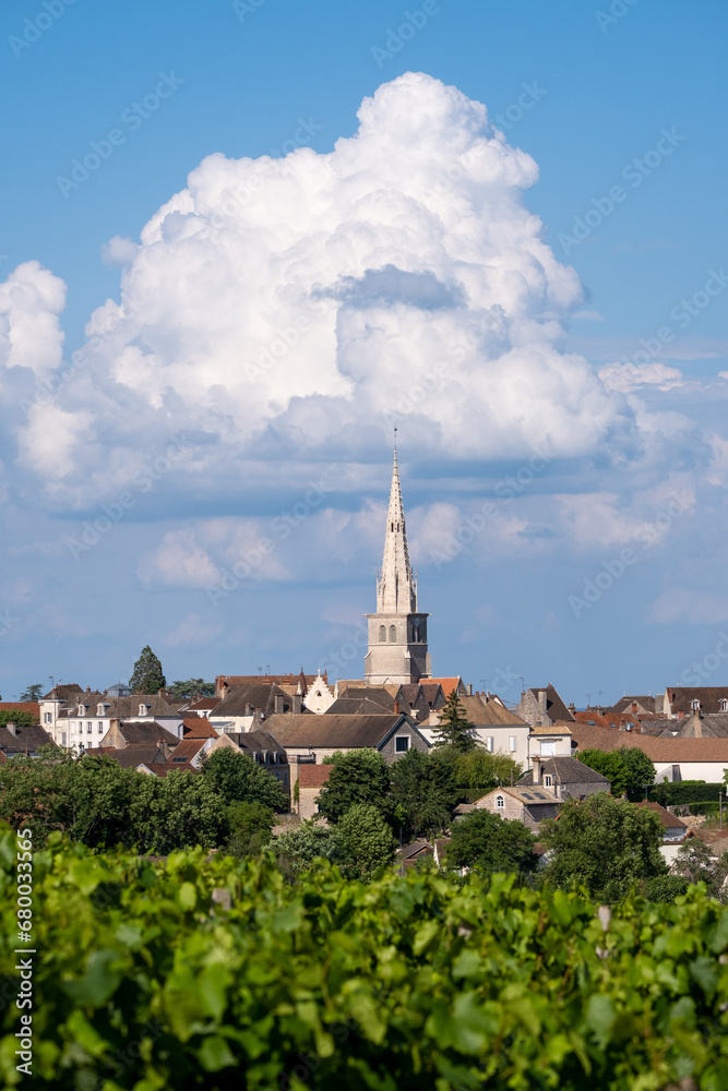 Village de Meursault avec de la vigne au premier plan, en Bourgogne, France