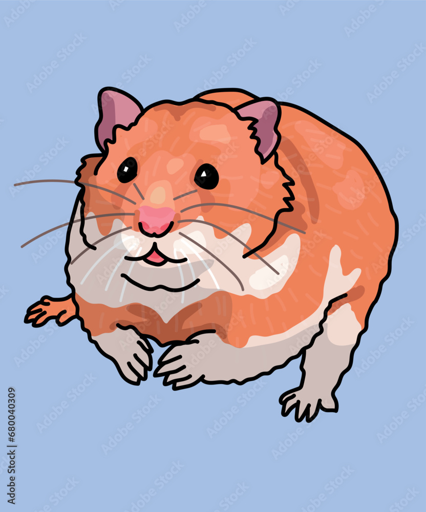 Hamster Brown White Sitting Front View Hamster Brown White Sitting Front View