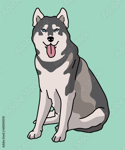 Husky Dog Sitting Front View