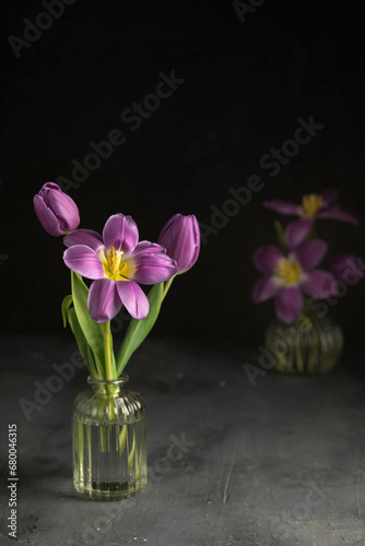 Fototapeta Naklejka Na Ścianę i Meble -  Purple tulips in glass vase on darck table.