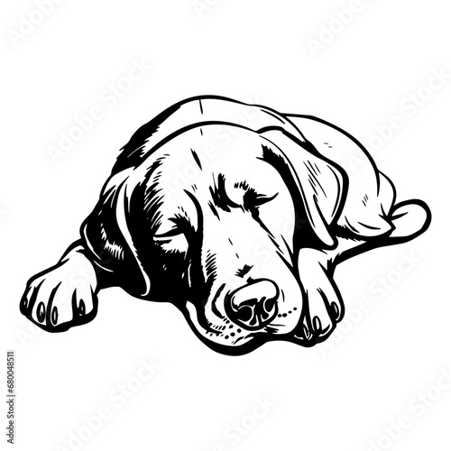 dog vector labrador sleeping puppy icon pet cartoon character illustration symbol tattoo stamp design isolated

