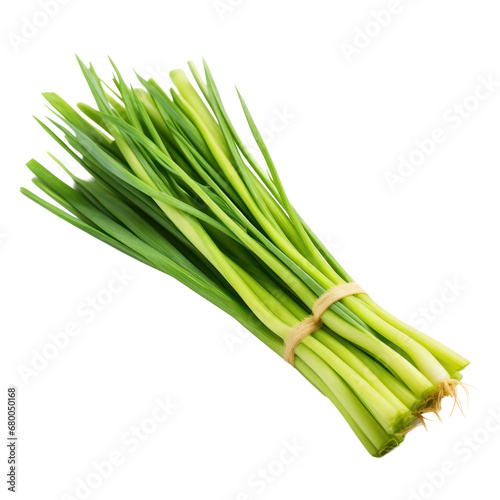 lemon grass,cymbopogon isolated on transparent background,transparency 