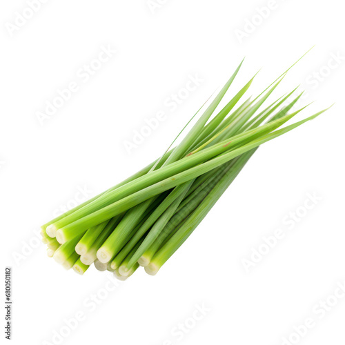 lemon grass cymbopogon isolated on transparent background transparency 