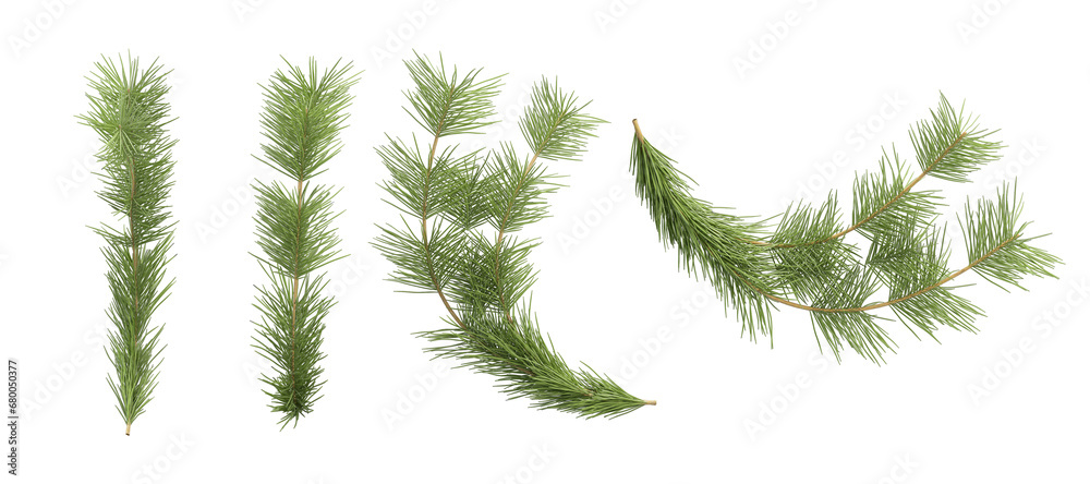 grass isolated christmas on white background