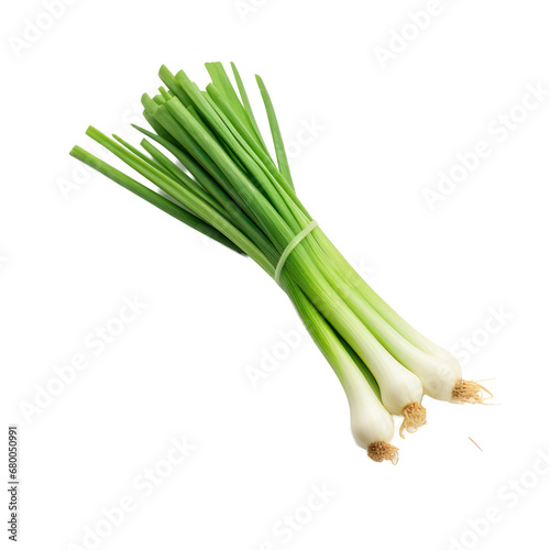 spring onions isolated on transparent background transparency 