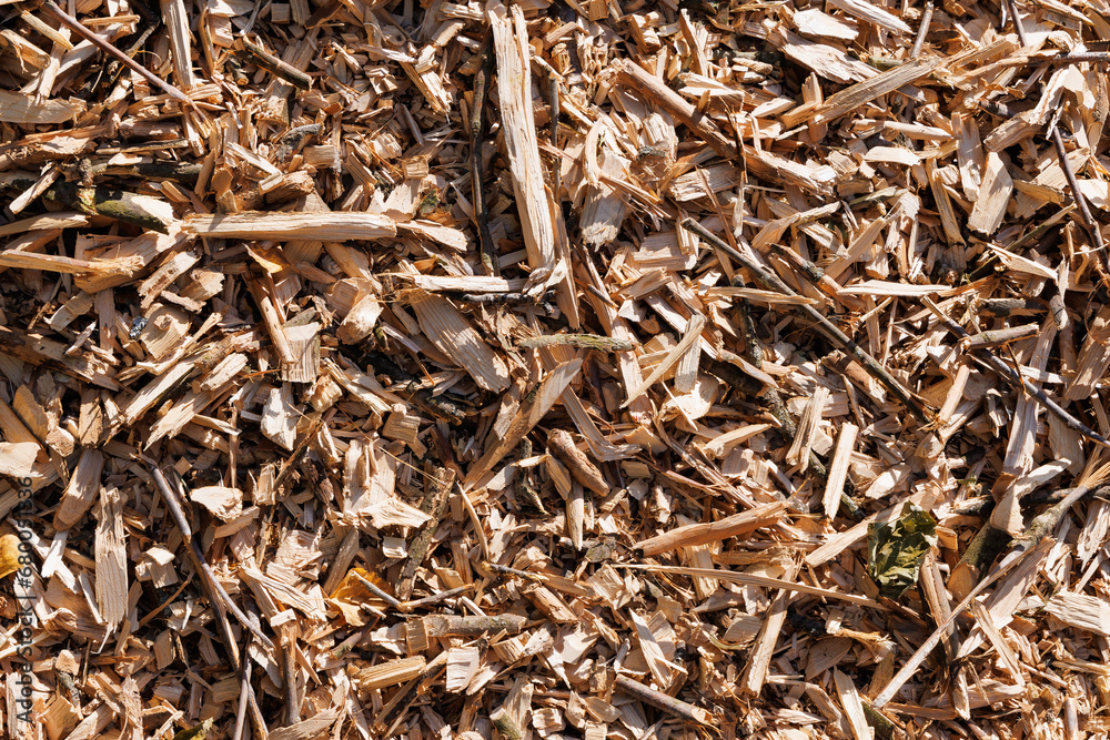 Wood chips after chopping dry branches with a shredder. View from above. Wood chips after chopping dry branches with a shredder. View from above.