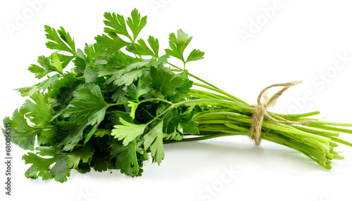 green chervil isolated on white background, cutout photo
