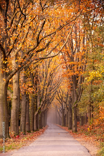 Country road in beautiful autumn colors