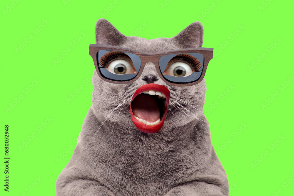 Fototapeta Contemporary art collage. Surreal magazine template banner collage of freak cat and human open mouth