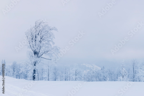 Górzysty krajobraz zimowy, biały śnieg, Beskidy © anettastar