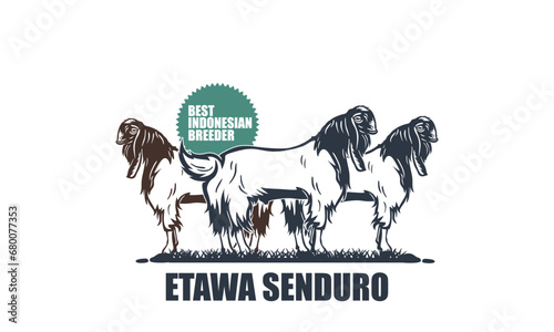 BEST ATAWA GOAT INDONESIAN BREEDER LOGO, silhouette of great ram standing in farm vector illustrations.