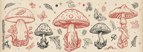 Mushrooms. Old school tattoo vector collection. Autumn forest, fly agaric, mushroom grebes, boletus