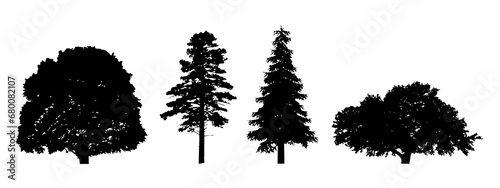 tree silhouette on transparent background