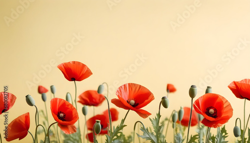 Poppies in red against a pastel backdrop. Armistice Day, Remembrance Day, and Anzac Day emblem
