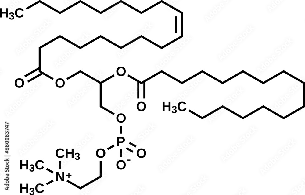 Soy lecithin structural formula, phosphatidylcholine vector