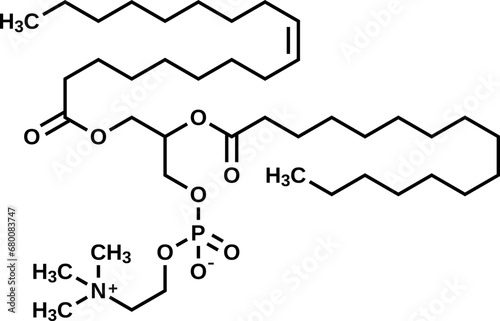 Soy lecithin structural formula, phosphatidylcholine vector illustration photo