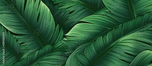 Leaf pattern with tropical illustrations Copy space image Place for adding text or design