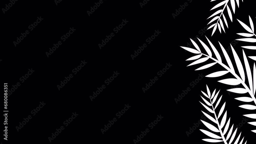 Right side frame video overlay element of palm tree plant leafs playing seamlessly loop in 4k resolution with black and white alpha channel Right side frame video overlay element of palm tree plant leafs playing seamlessly loop in 4k resolution with black and white alpha channel