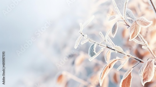 frozen branch with autumn photo