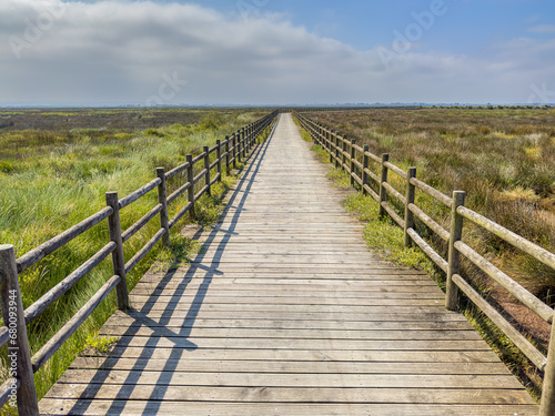 Eco path wooden walkway  ecological trail path