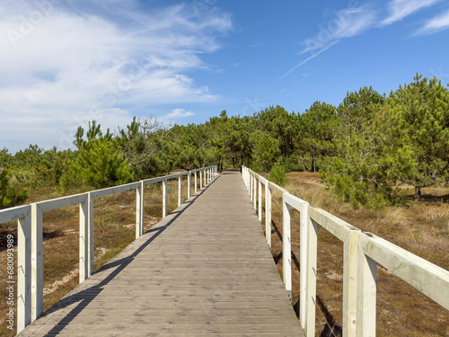 A wood pedestrian and cycling walkways, build over a sand dune and cross the forest that is used to give beach access in Esposende beaches. North coast ecovia, Esposende, Portugal, Europe photo