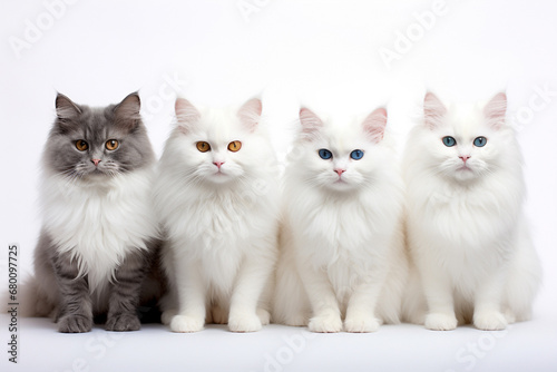 a group of seated cats, showcasing a variety of breeds against a pristine white backdrop. This heartwarming scene celebrates the unique charm each cat brings to the feline family. Generative AI.