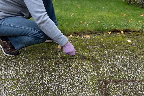 A woman removes grass that has grown between paving slabs. Remove weeds from decks and sidewalks. Grass and weeds stubbornly grow between the intertwined stones on sidewalks and driveways.