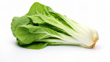 Front view of Bok Choy