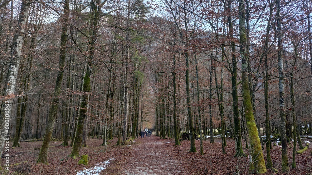 Fototapeta premium A trip to Munich's Königssee in winter