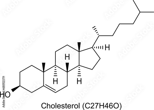 Molecule of cholesterol, vector chemical structure