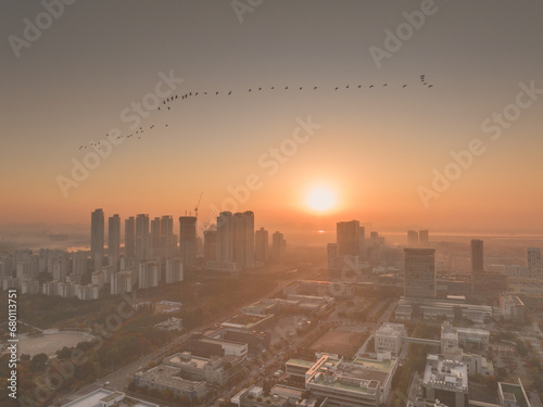 фотографія City sunrise and migratory birds